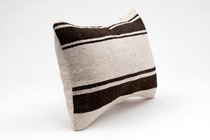 Kilim Pillow, 12x20 in. (KW30502615)